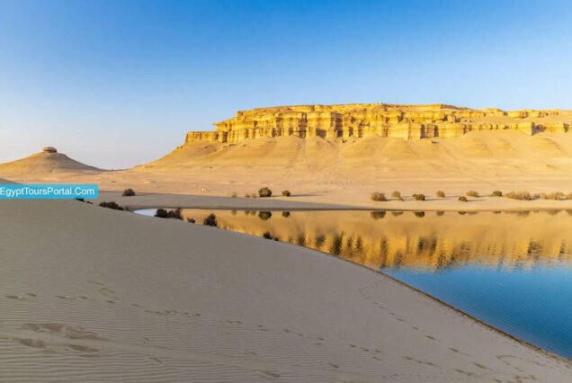 Fayoum Oasis & Waterfalls Excursion